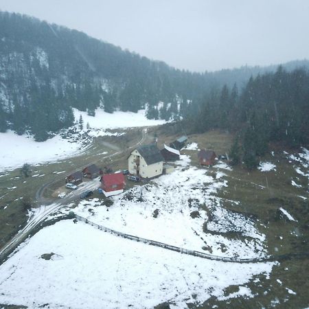 Pensiunea Poarta Lui Ionele Gîrda de Sus Buitenkant foto