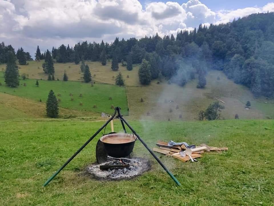 Pensiunea Poarta Lui Ionele Gîrda de Sus Buitenkant foto