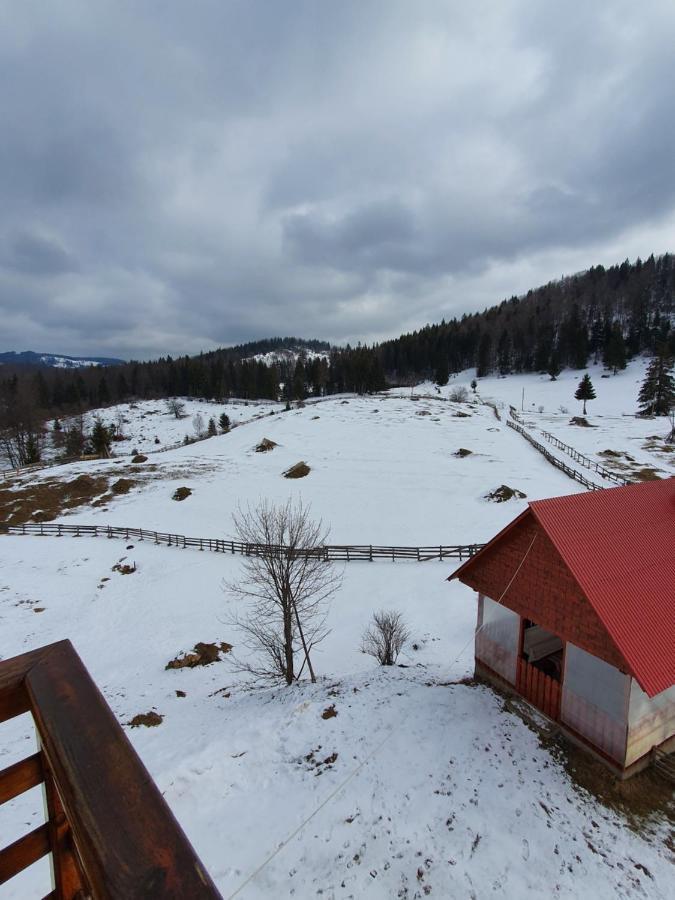 Pensiunea Poarta Lui Ionele Gîrda de Sus Buitenkant foto