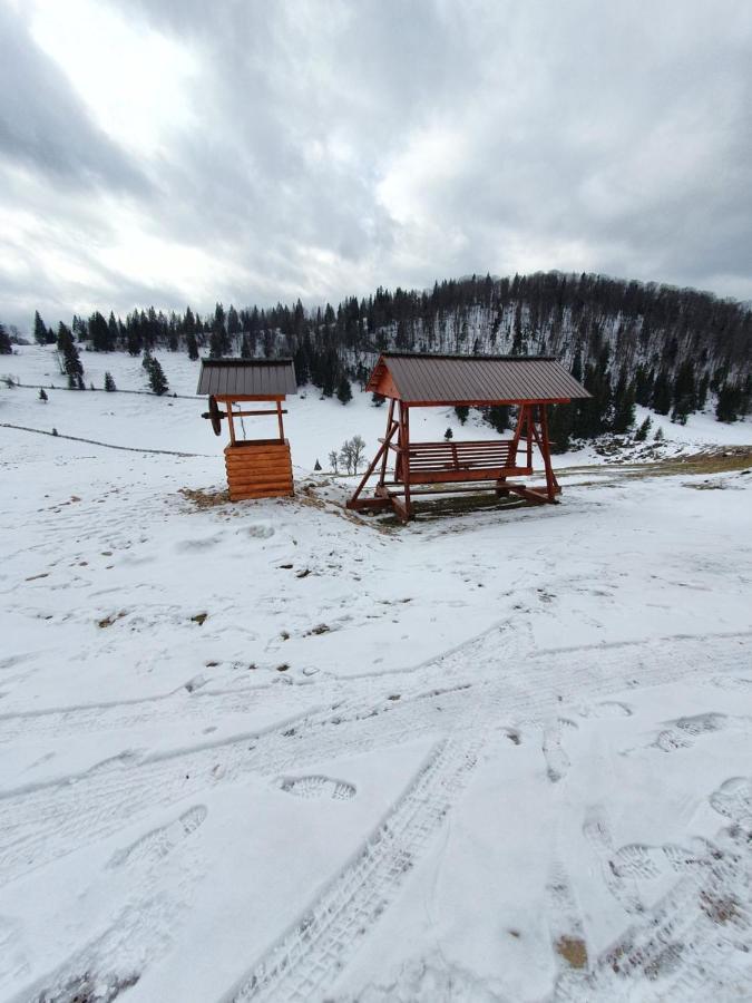 Pensiunea Poarta Lui Ionele Gîrda de Sus Buitenkant foto