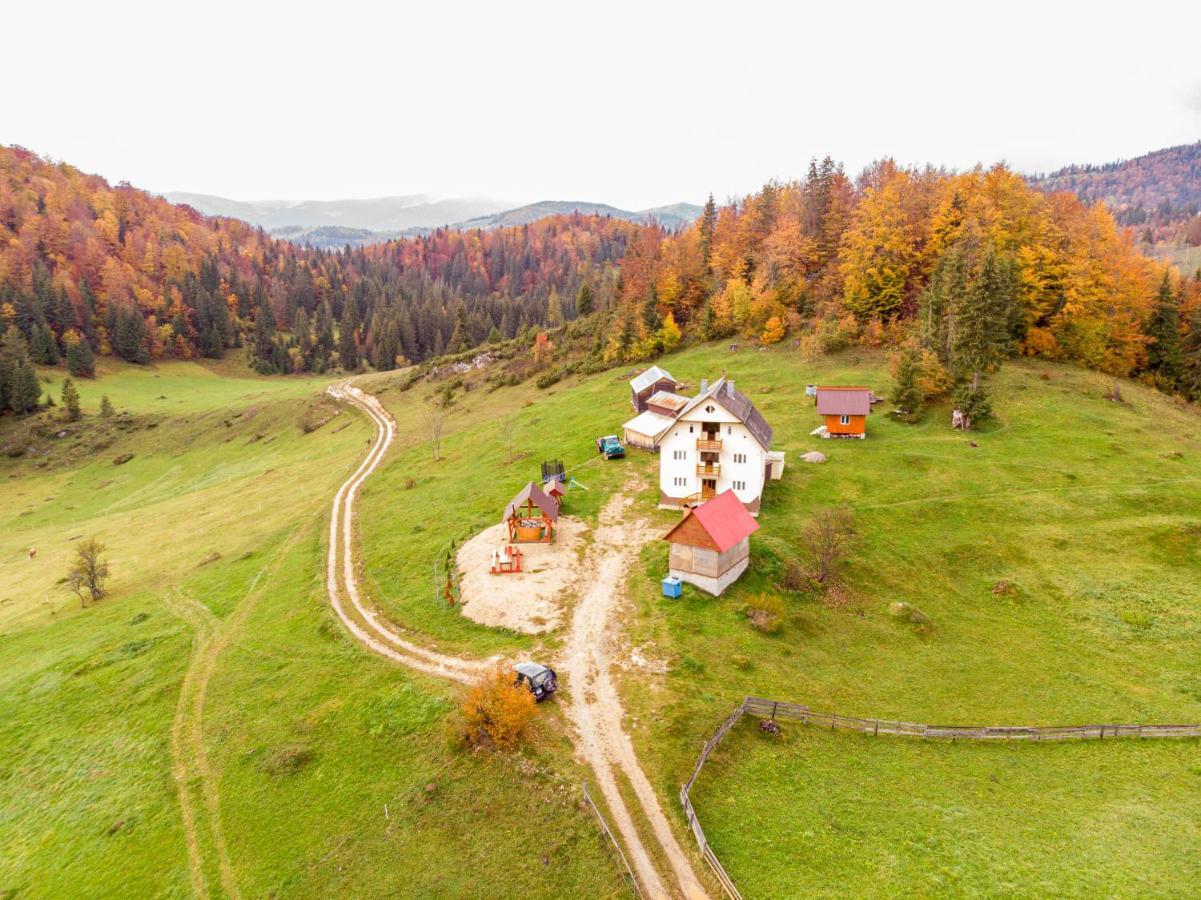 Pensiunea Poarta Lui Ionele Gîrda de Sus Buitenkant foto