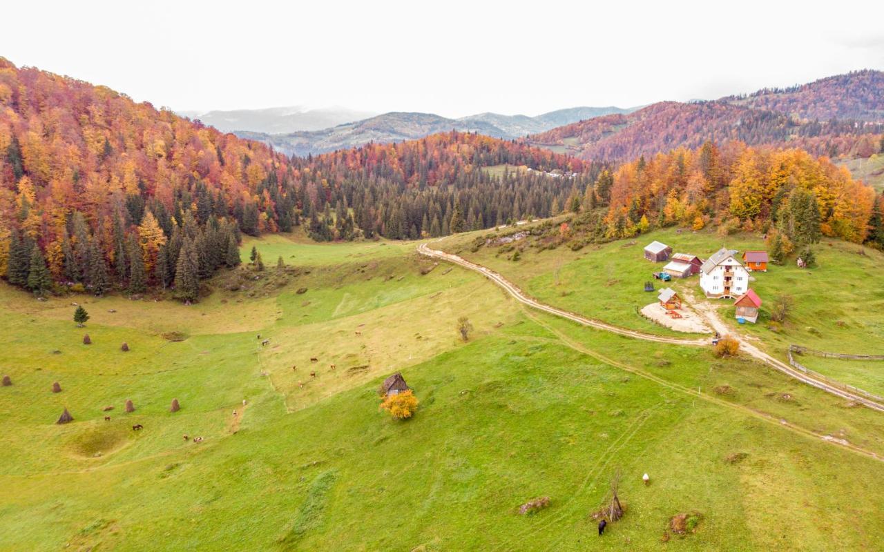 Pensiunea Poarta Lui Ionele Gîrda de Sus Buitenkant foto