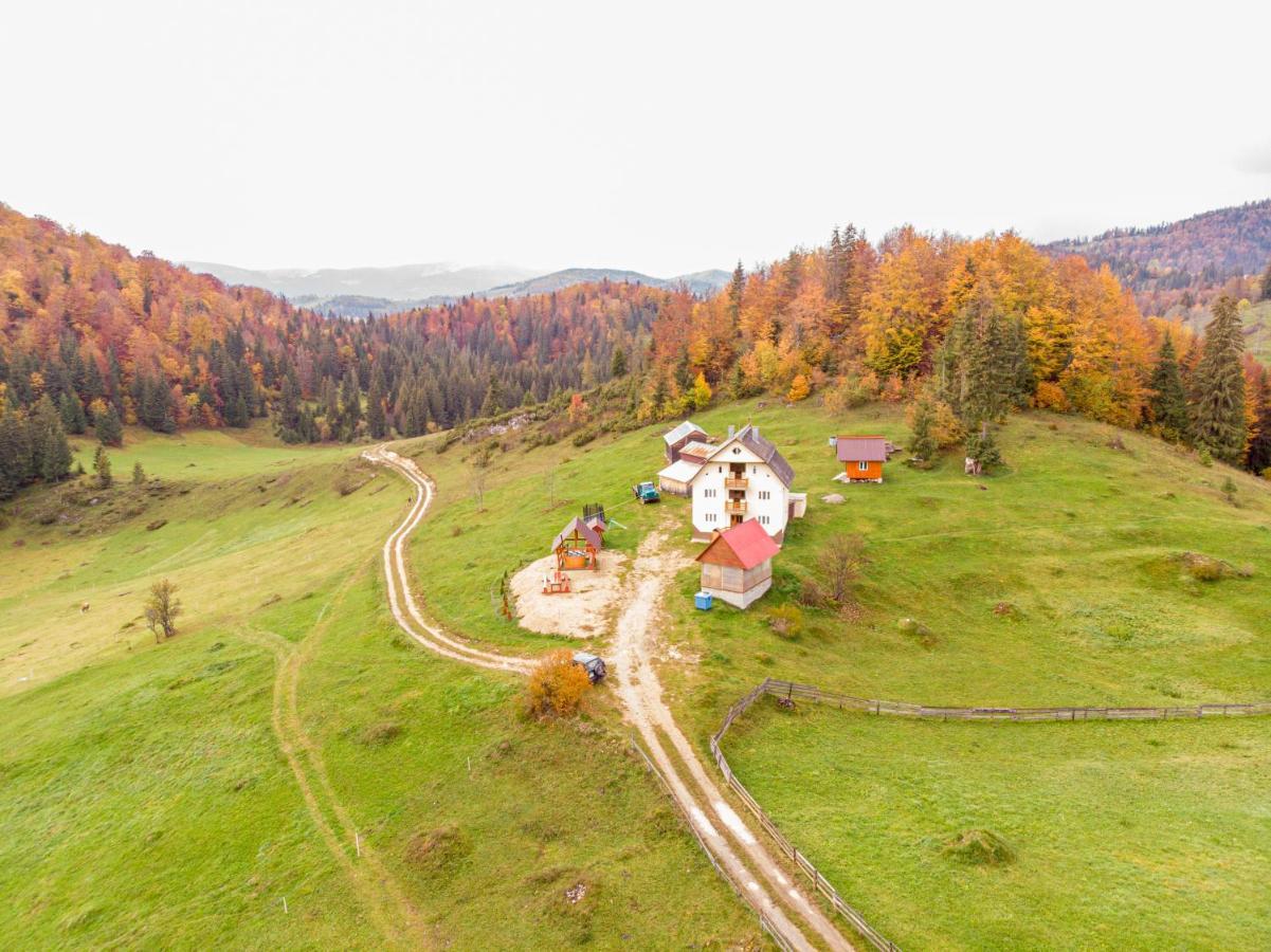 Pensiunea Poarta Lui Ionele Gîrda de Sus Buitenkant foto