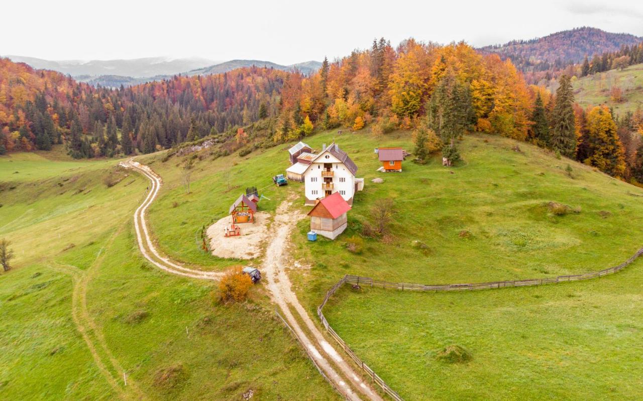 Pensiunea Poarta Lui Ionele Gîrda de Sus Buitenkant foto