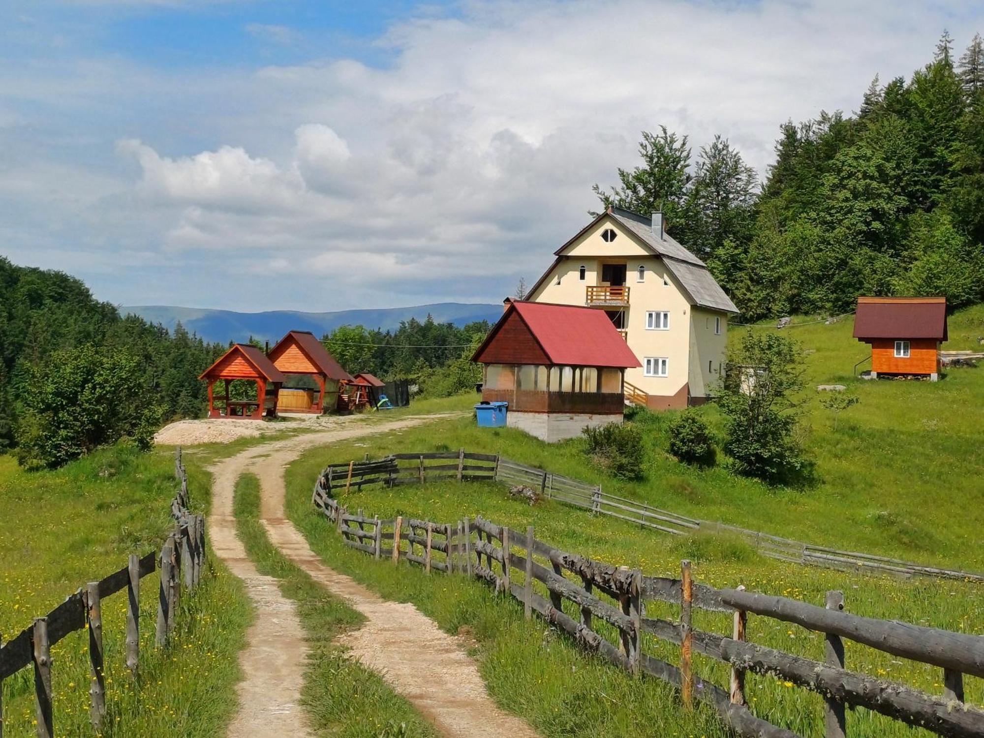 Pensiunea Poarta Lui Ionele Gîrda de Sus Buitenkant foto