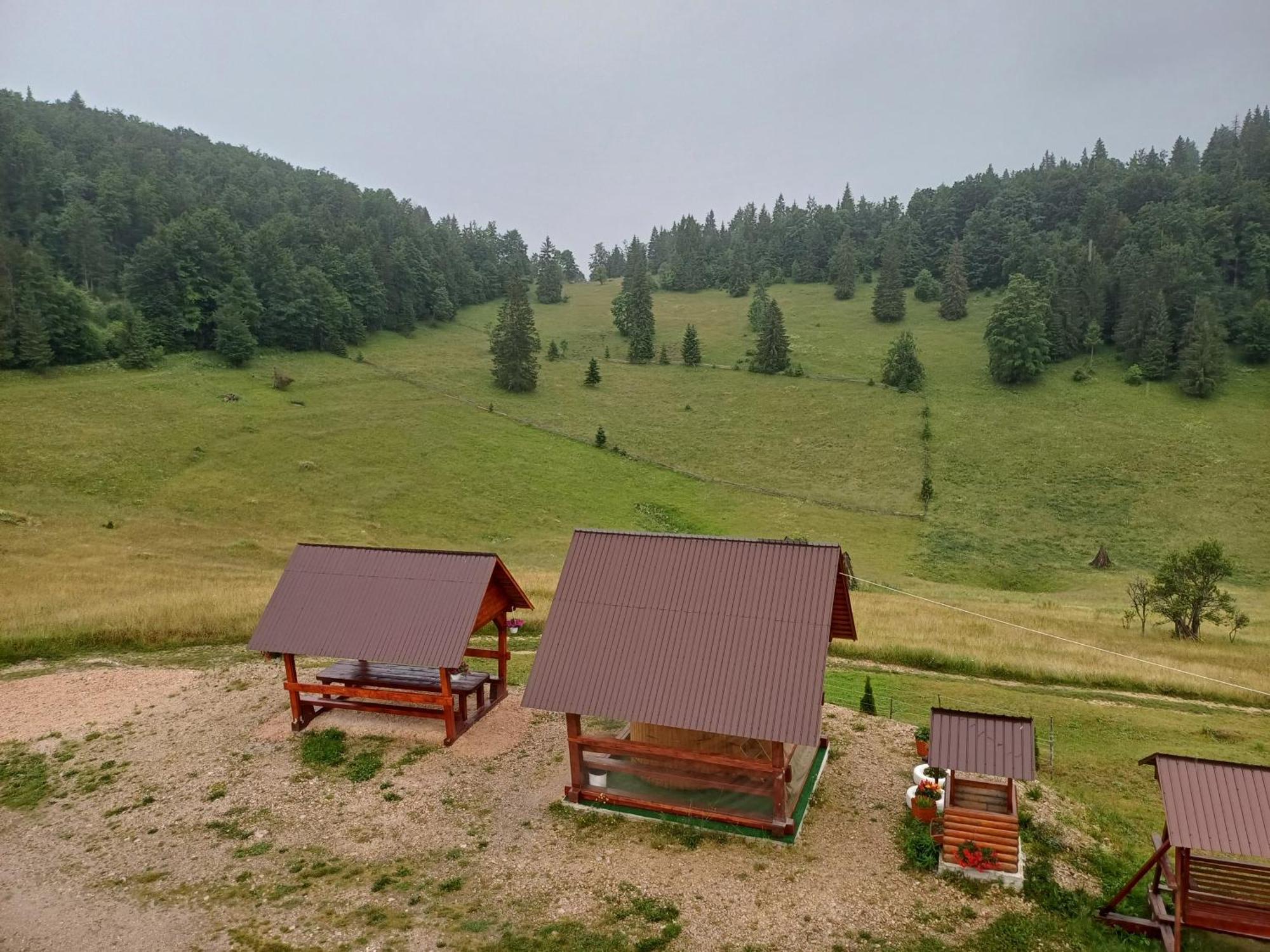 Pensiunea Poarta Lui Ionele Gîrda de Sus Buitenkant foto