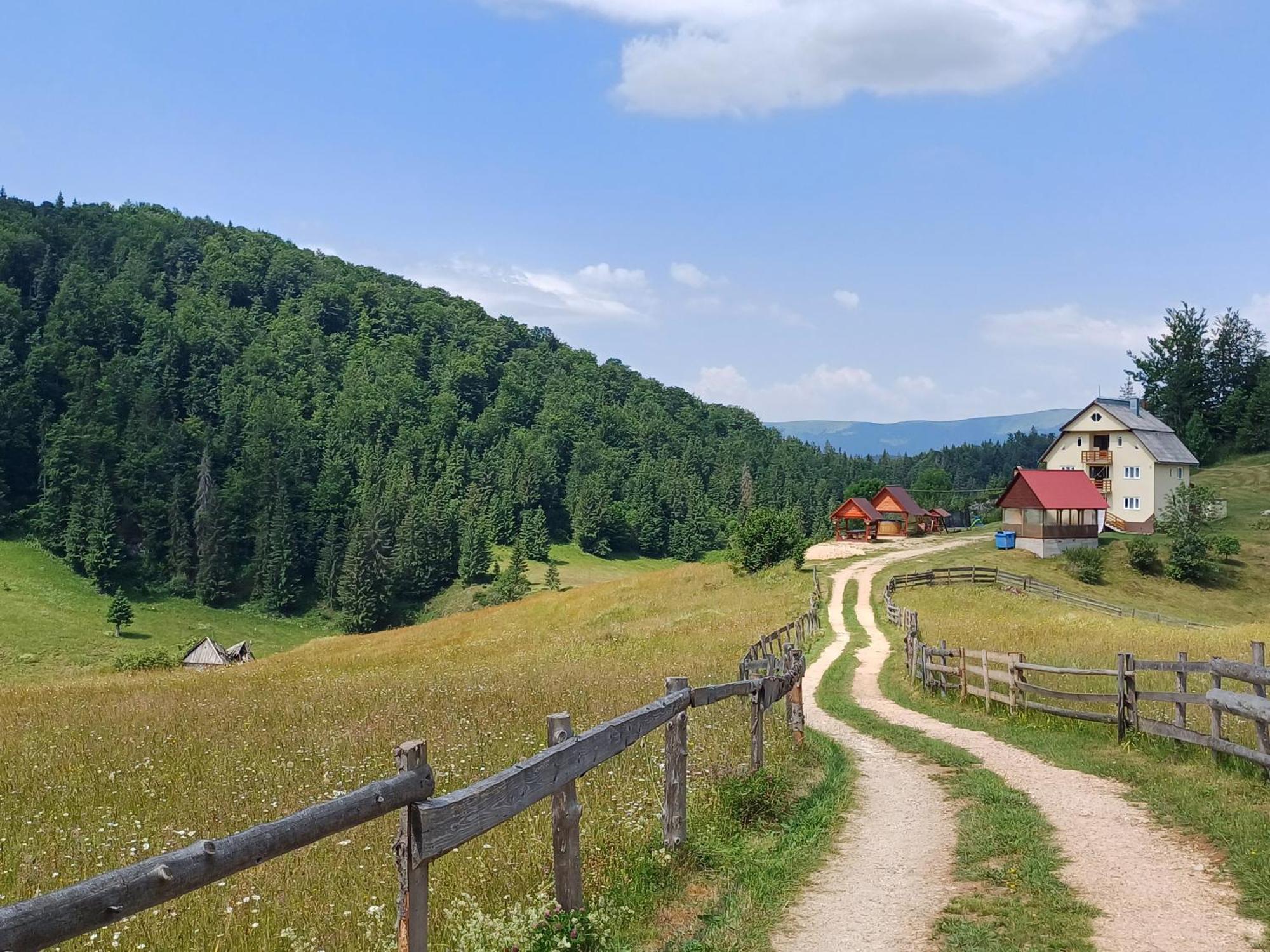 Pensiunea Poarta Lui Ionele Gîrda de Sus Buitenkant foto