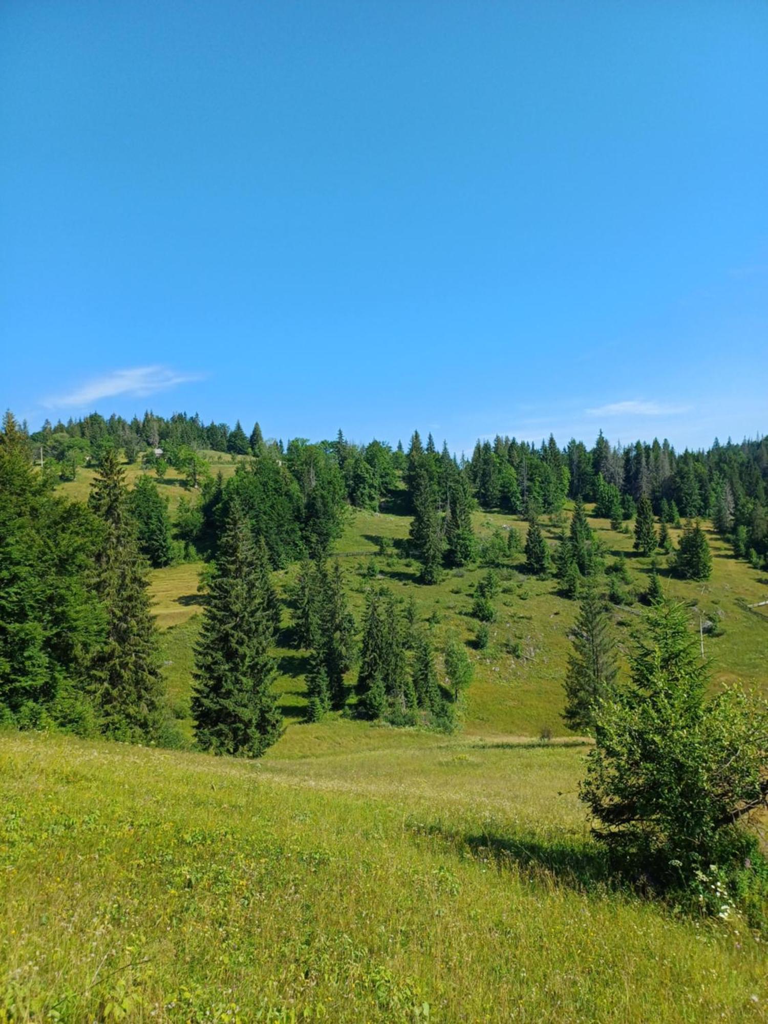 Pensiunea Poarta Lui Ionele Gîrda de Sus Buitenkant foto