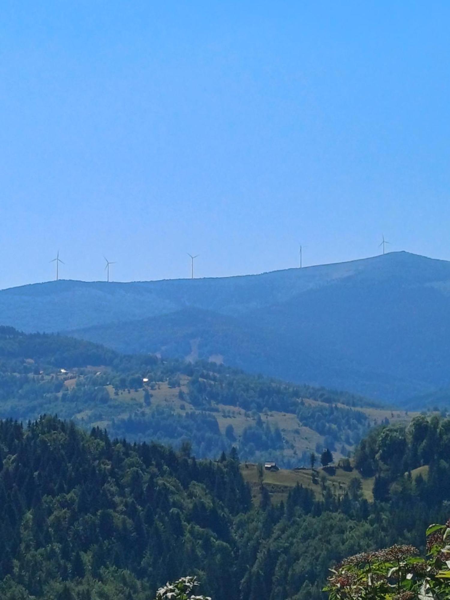 Pensiunea Poarta Lui Ionele Gîrda de Sus Buitenkant foto