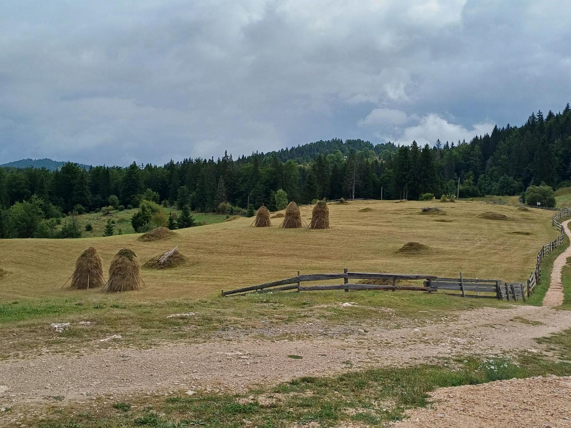 Pensiunea Poarta Lui Ionele Gîrda de Sus Buitenkant foto