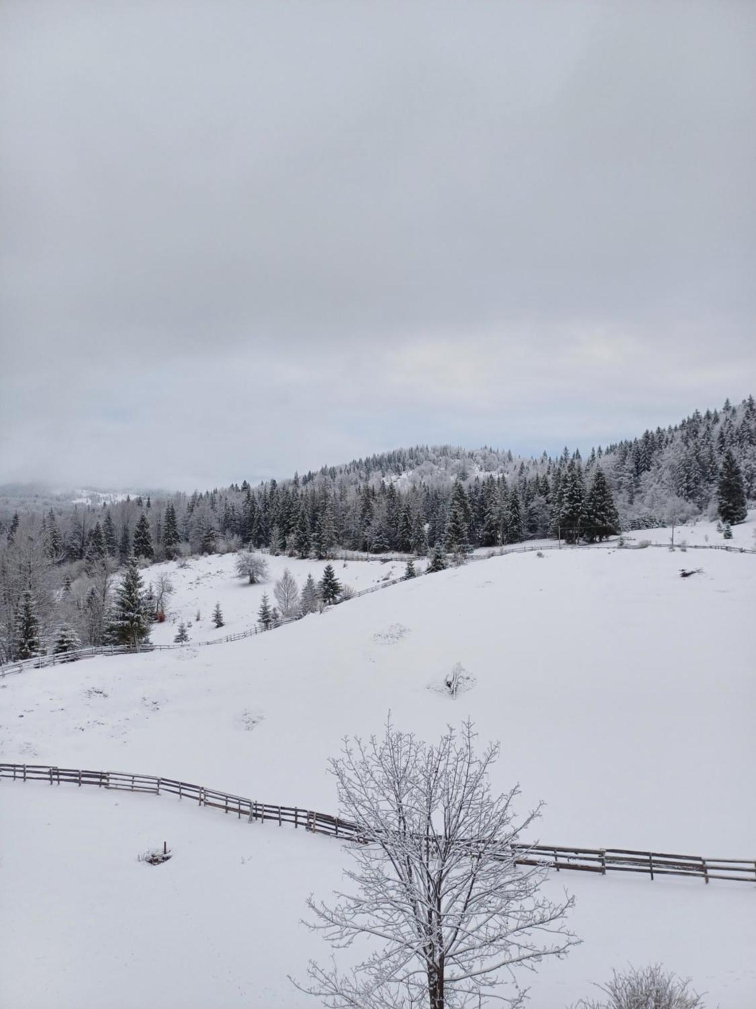 Pensiunea Poarta Lui Ionele Gîrda de Sus Buitenkant foto