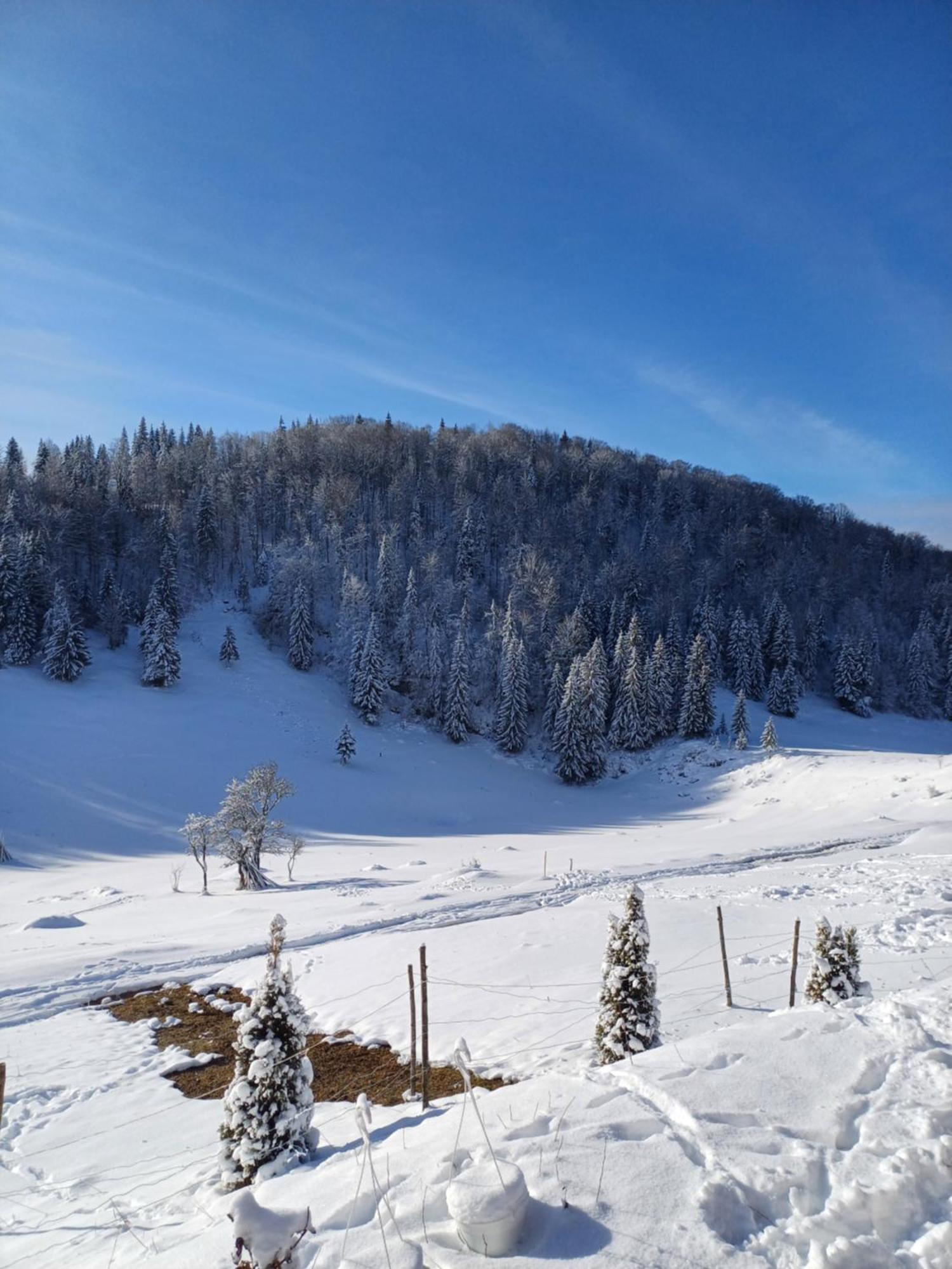 Pensiunea Poarta Lui Ionele Gîrda de Sus Buitenkant foto